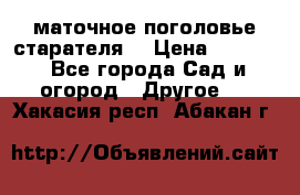 маточное поголовье старателя  › Цена ­ 3 700 - Все города Сад и огород » Другое   . Хакасия респ.,Абакан г.